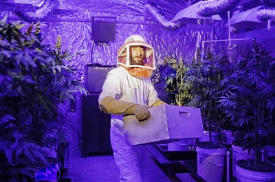 迷幻高中剧照的剧照