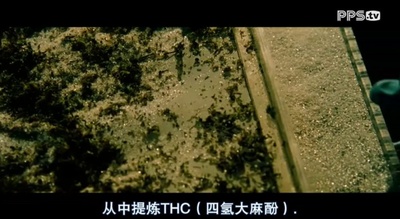 迷幻高中剧照的剧照