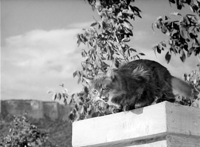 商人们剧照的剧照