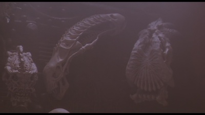 铁血战士2剧照的剧照