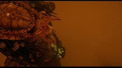 铁血战士2剧照的剧照