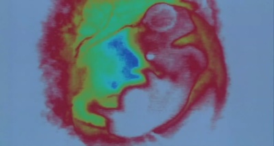 铁血战士2剧照的剧照