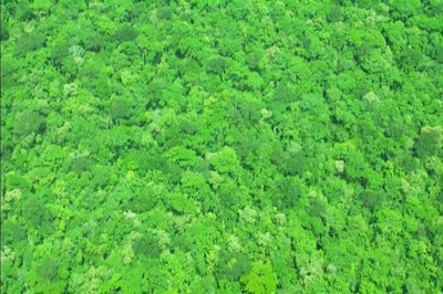阿凡达：来自潘多拉的消息剧照的剧照
