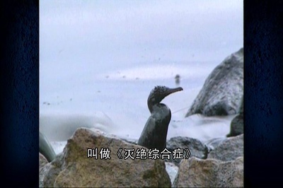 阿凡达：来自潘多拉的消息剧照的剧照