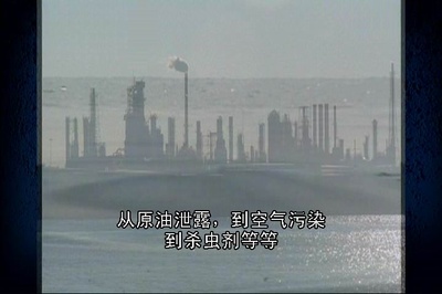 阿凡达：来自潘多拉的消息剧照的剧照