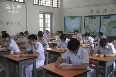 荷尔蒙大冒险剧照的剧照