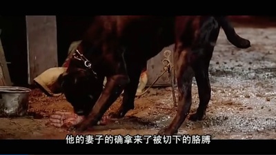 黑色之家剧照的剧照