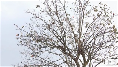 叠叠山中剧照的剧照