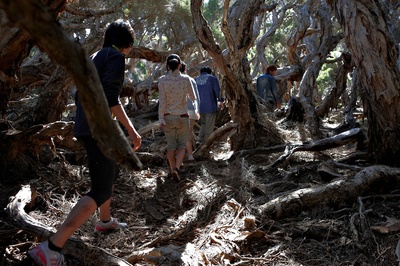 十亿韩元剧照的剧照