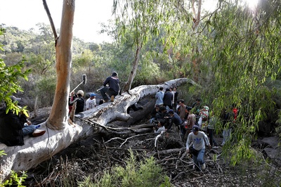 十亿韩元剧照的剧照