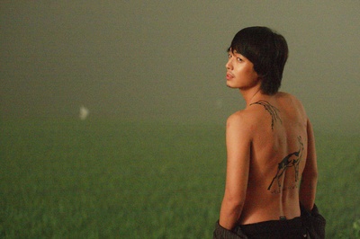 奔跑的乌龟剧照的剧照