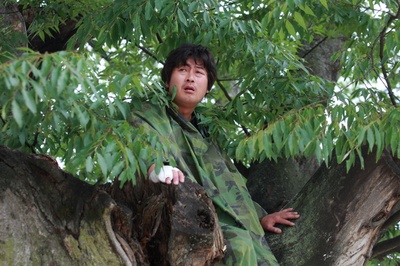 奔跑的乌龟剧照的剧照