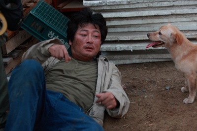 奔跑的乌龟剧照的剧照