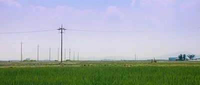 奔跑的乌龟剧照的剧照