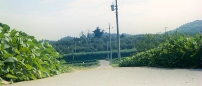 奔跑的乌龟剧照的剧照