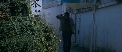 奔跑的乌龟剧照的剧照