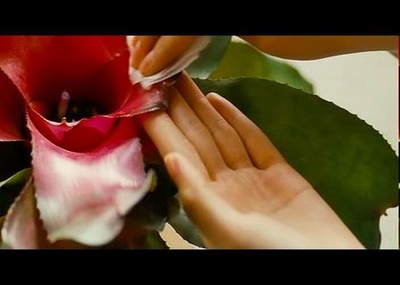 女教授的隐秘魅力剧照的剧照