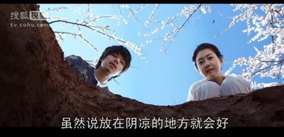 大酱剧照的剧照