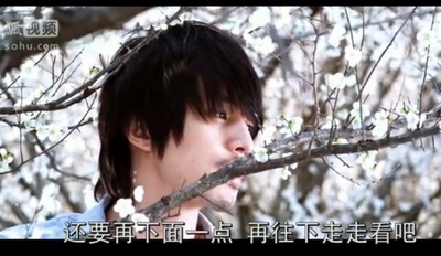 大酱剧照的剧照