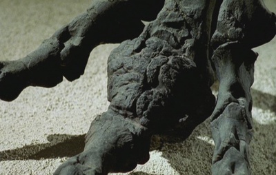 异特龙之谜剧照的剧照