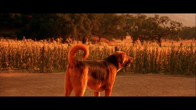 惊心食人族2剧照的剧照