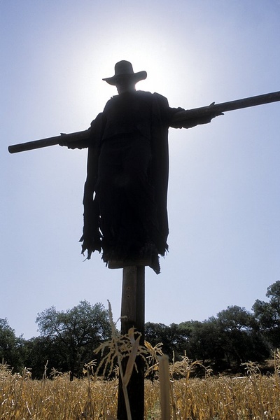 惊心食人族2剧照的剧照