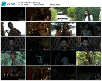 柳叶刀剧照的剧照