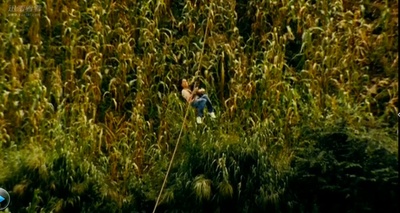 车票剧照的剧照