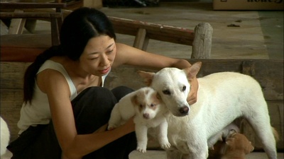 无用剧照的剧照