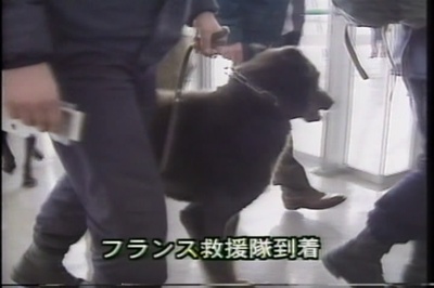 激震の記録 : 永久保存版 : 映像で語りつぐ阪神・淡路大震災 : 〜失われたあの時あの場所〜剧照的剧照