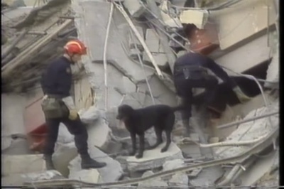 激震の記録 : 永久保存版 : 映像で語りつぐ阪神・淡路大震災 : 〜失われたあの時あの場所〜剧照的剧照