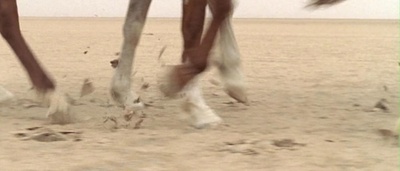 弗朗德勒剧照的剧照