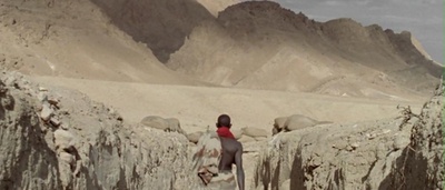 弗朗德勒剧照的剧照