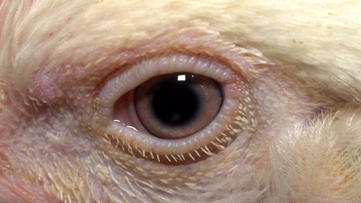 统治剧照的剧照