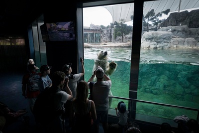 统治剧照的剧照