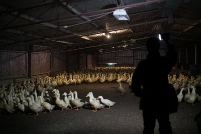 统治剧照的剧照