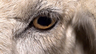 统治剧照的剧照