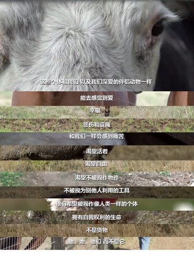 统治剧照的剧照