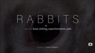 统治剧照的剧照