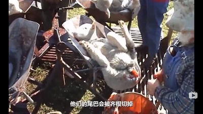 统治剧照的剧照