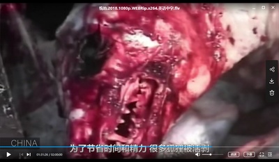 统治剧照的剧照