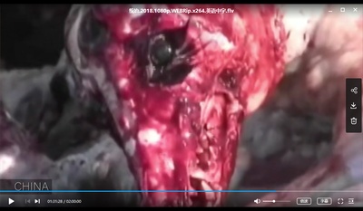 统治剧照的剧照