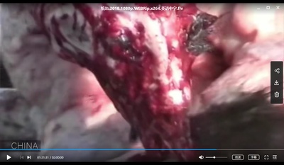 统治剧照的剧照