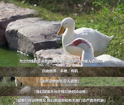 统治剧照的剧照