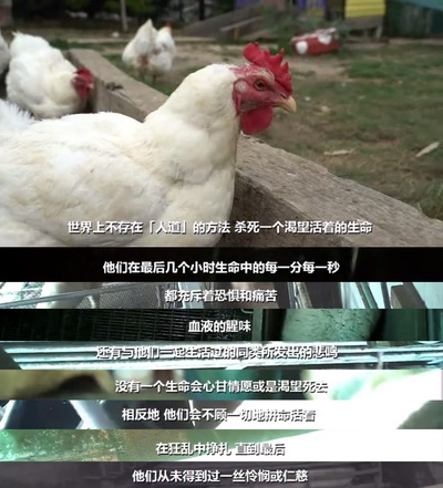 统治剧照的剧照