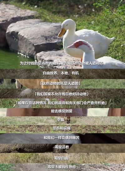 统治剧照的剧照