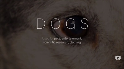 统治剧照的剧照