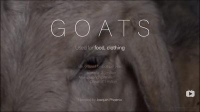 统治剧照的剧照