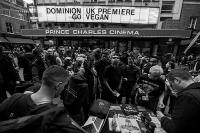 统治剧照的剧照