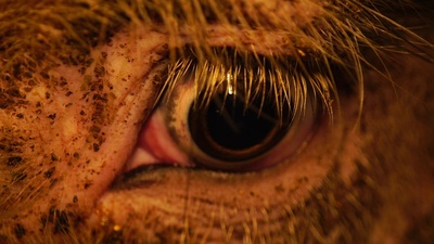 统治剧照的剧照